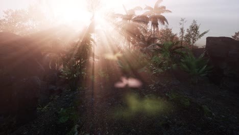 Incredible-tropical-green-forest-view-with-sun-flare-in-morning.